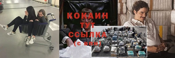 ешки Инта