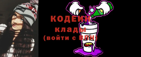 ешки Инта