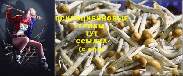 Альфа ПВП Иннополис