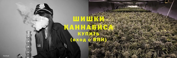 ешки Инта