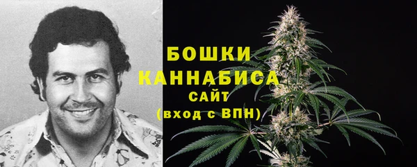 ешки Инта