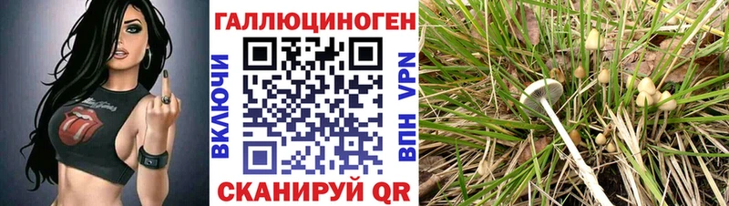 Купить закладки  Змеиногорск  Псилоцибиновые грибы MAGIC MUSHROOMS 