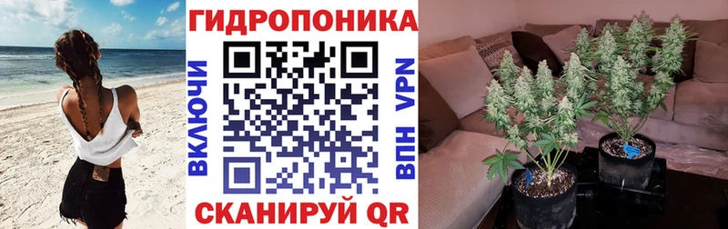 Шишки марихуана планчик Купить Змеиногорск